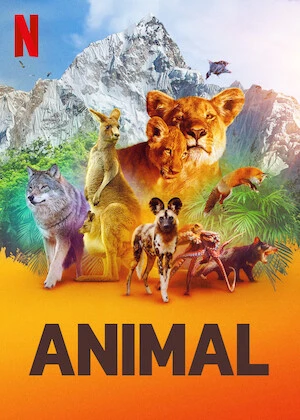 Động Vật (Phần 1) - Animal (Season 1) (2021)