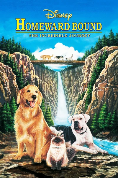 Hướng Về Nhà: Hành Trình Phi Thường - Homeward Bound: The Incredible Journey (1993)