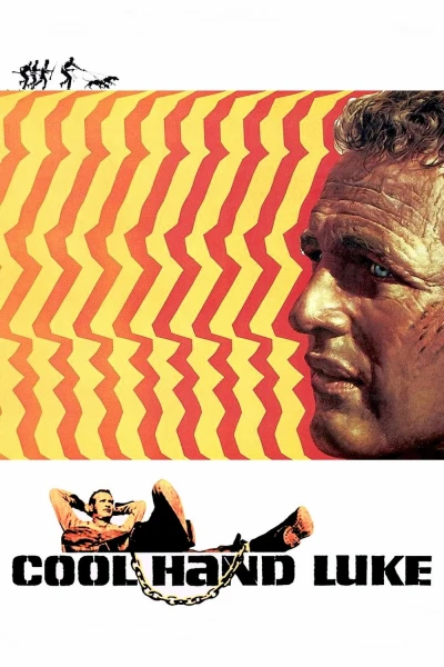 Kẻ Trơ Tráo - Cool Hand Luke (1967)